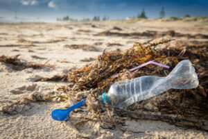 Plastic rubbish off the beach.