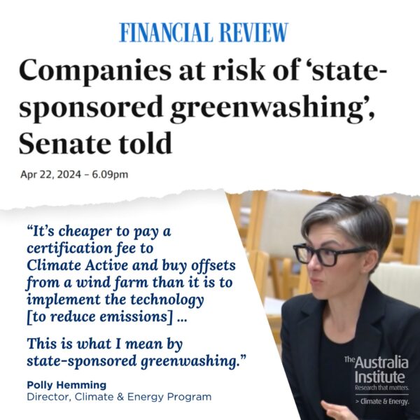 Polly Hemming tells Senate committee companies at risk of 'state-sponsored greenwashing'