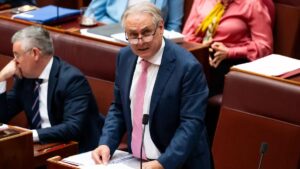 Senator Don Farrell, who will introduce proposed changes to Australian electoral laws. Picture by Elesa Kurtz