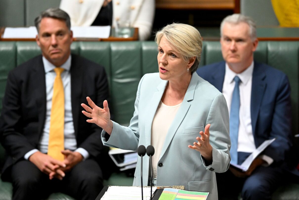 Australian Environment Minister Tanya Plibersek speaks during Question Time at Parliament House in Canberra, Tuesday, September 10, 2024.