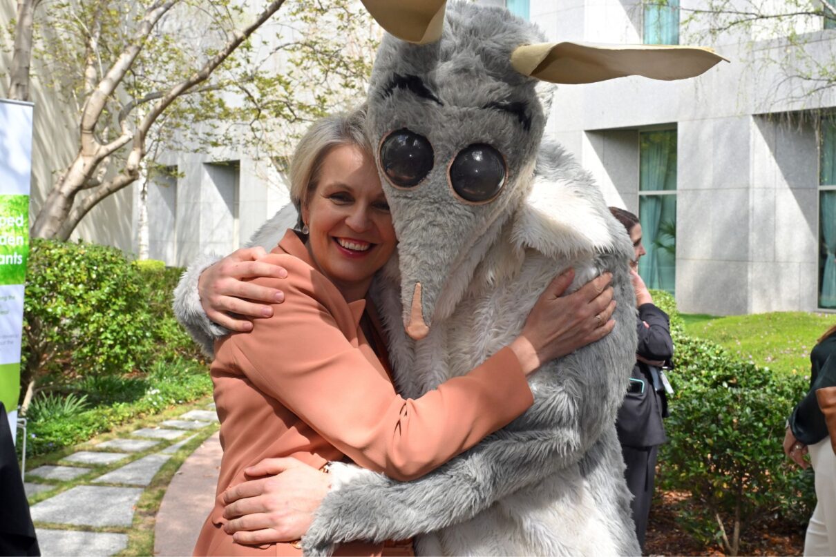 Minister for Environment Tanya Plibersek hugs a man dressed as a bilby at a Threatened Species Day event at Parliament House in Canberra, Wednesday, September 11, 2024.