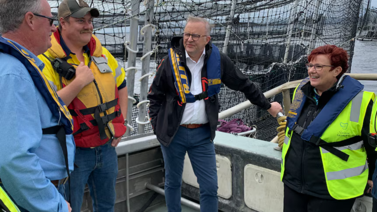 Prime Minister Anthony Albanese (centre) speaks with West Coast Council Mayor Shane Pitt (far left). (ABC News: Glenn Dickson)