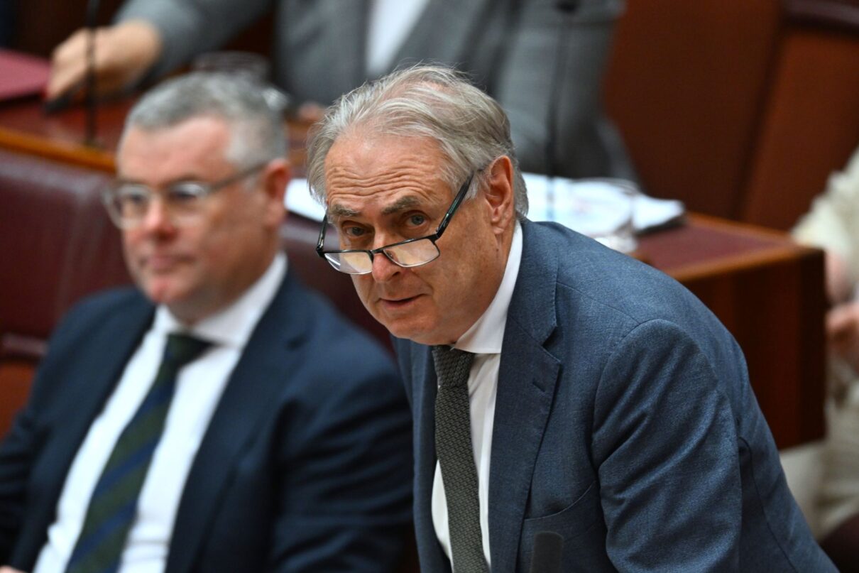 Labor Senator Don Farrell speaks during Senate Question Time at Parliament House in Canberra, Wednesday, November 27, 2024.