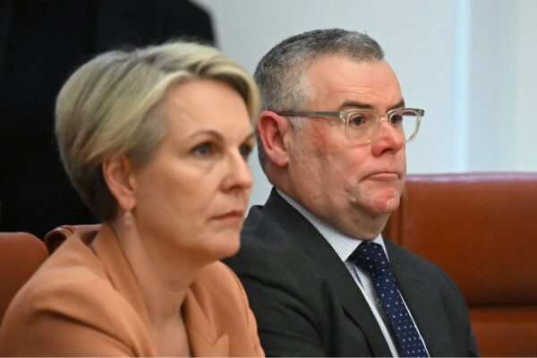 Australian Environment Minister Murray Watt listens to Australian Prime Minister Anthony Albanese speak during a Cabinet meeting at Parliament House in Canberra, Monday, May 26, 2025.